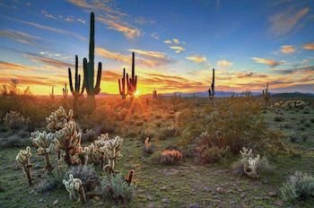  Holland & Knight secures $61m loan for Mexico’s Sonora state