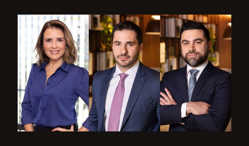 Amaral,Leutewiller and Rizzi