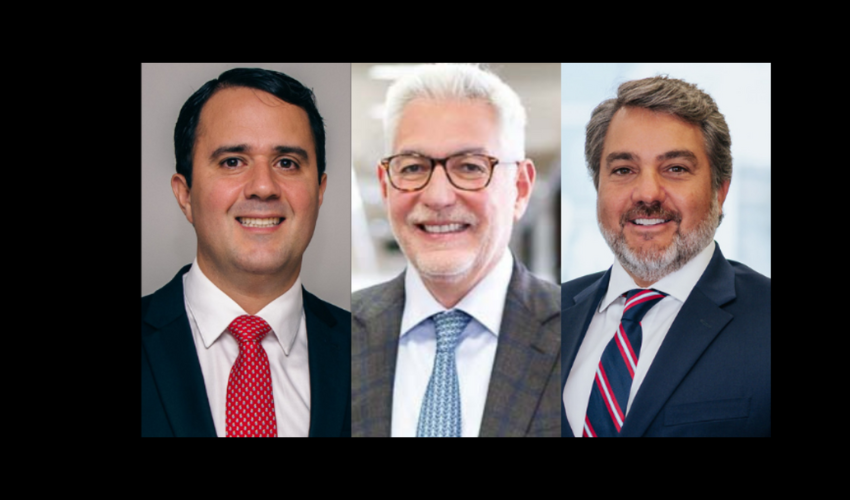 Coelho, Lima and Rocha