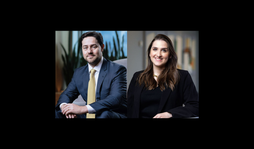 Thomaz Kastrup and Gabriela Abdalla Fajnzylber