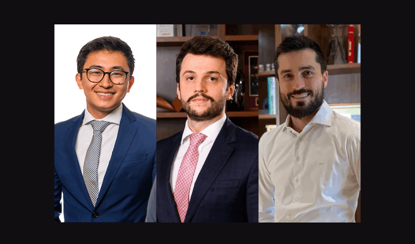 Takeda, Zilioti and Coelho