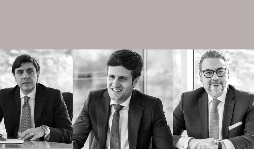 Antonio De Lisi Martínez, Ildefonso Arenas, Rodrigo Rojas Robleda